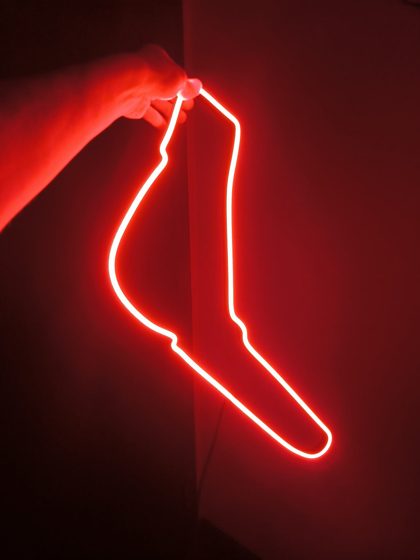 Neon Track – LED Formula 1 Circuit Outline