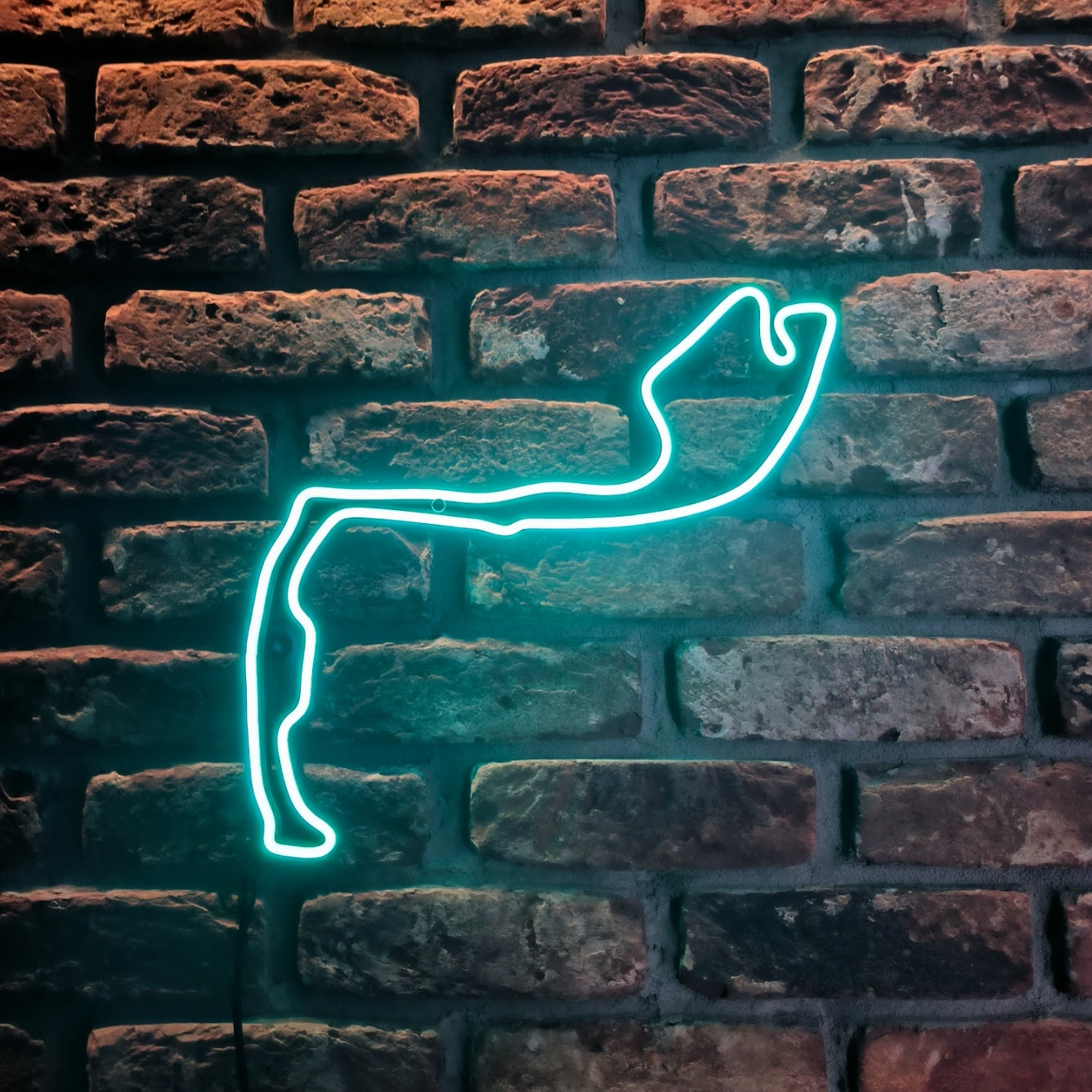 Neon Track – LED Formula 1 Circuit Outline