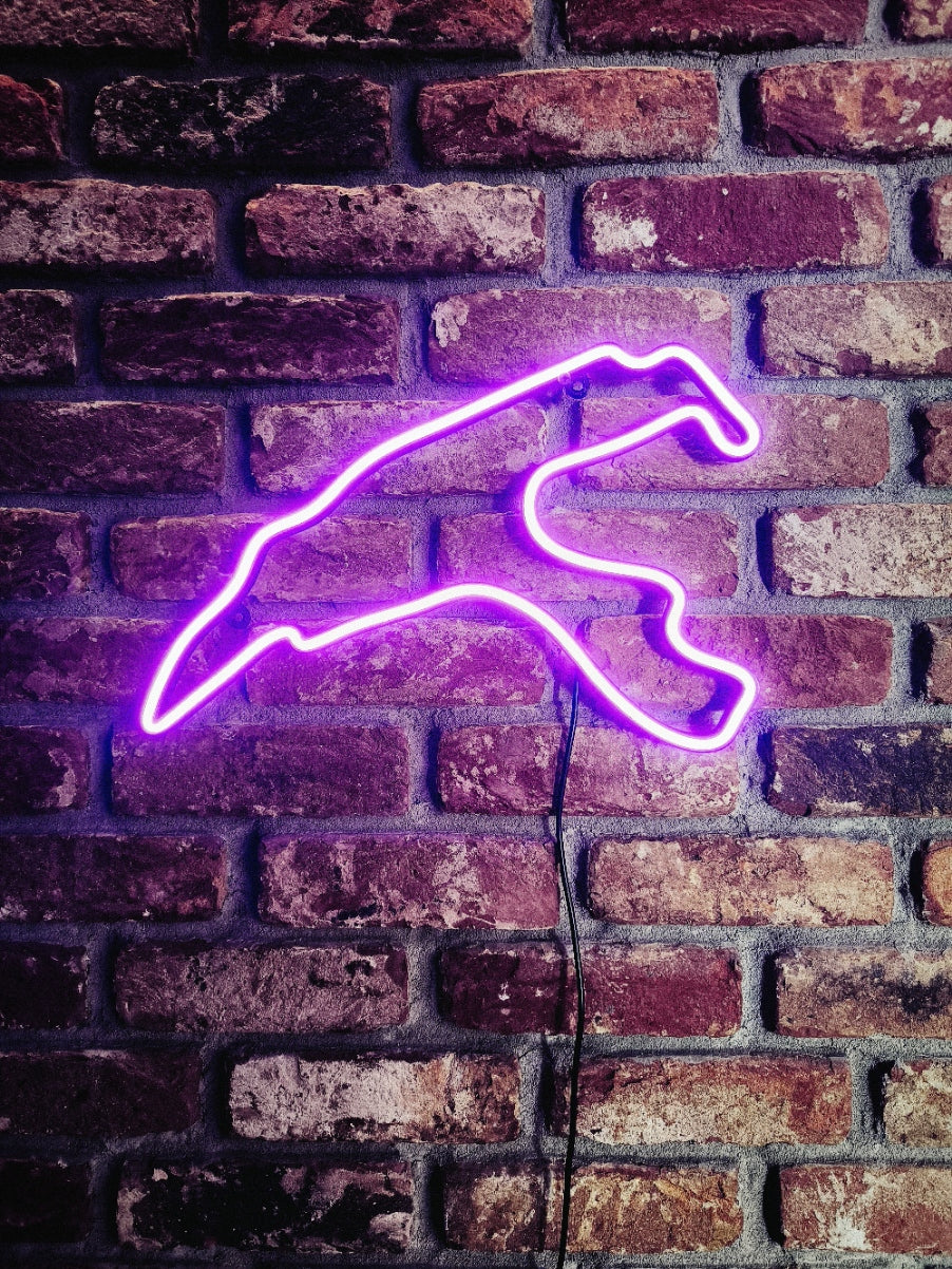 Neon Track – LED Formula 1 Circuit Outline