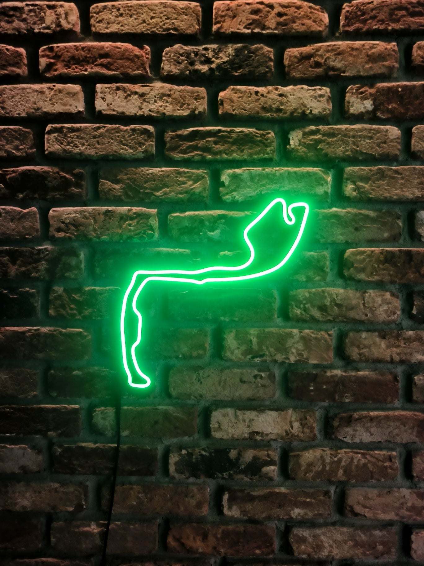 Neon Track – LED Formula 1 Circuit Outline
